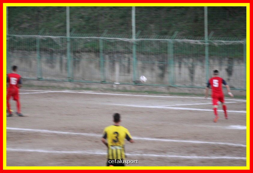 181111 Cepha_Milazzo 311_tn.JPG